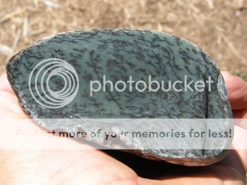 Washington State Beach Jade Rock Tumbling Hobby